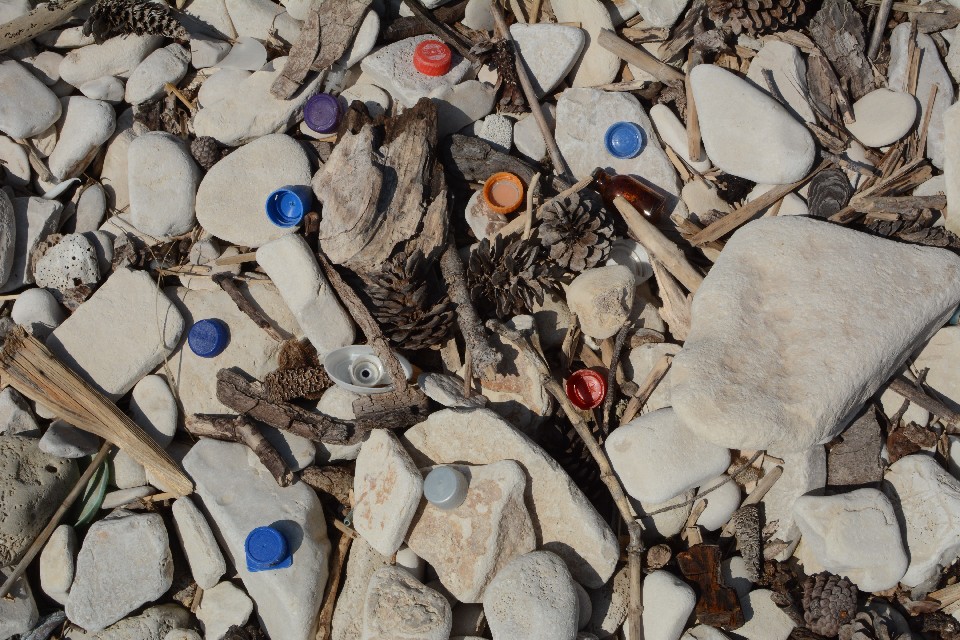Plastic bottle caps found at a beach in Brioni National Park